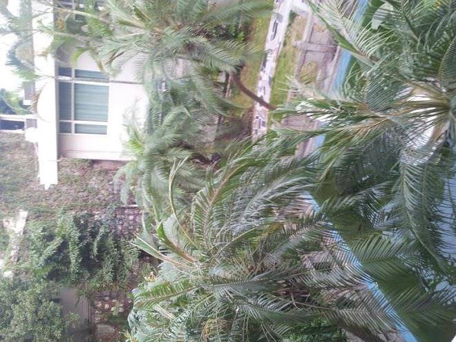 Da gang garden hotel