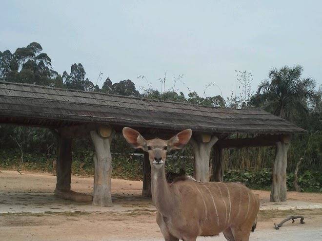 Yinfeng Business Hotel Image