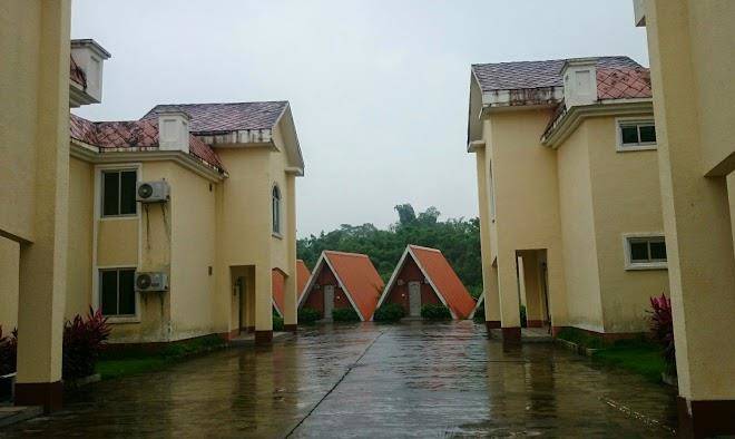 Hot Spring Paradise Image