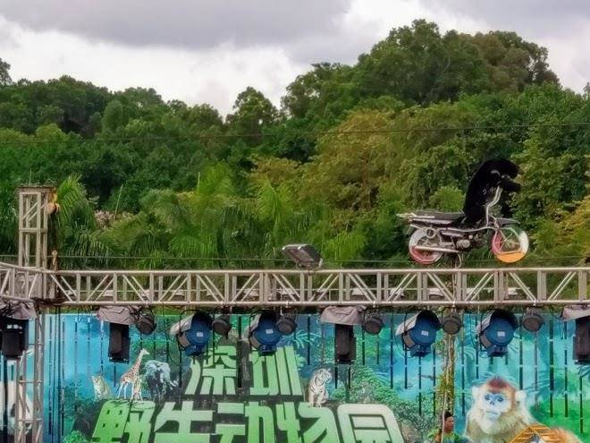 Xi li lake holiday resort