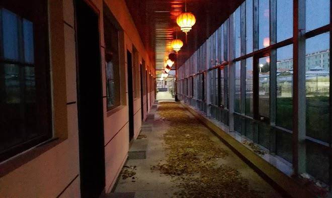 Mongolia daying resort
