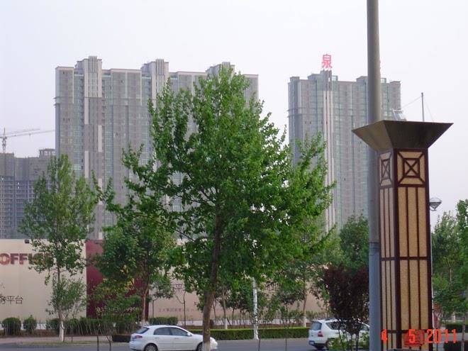 Dikuang holiday hotel