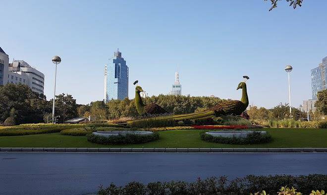 Celebrity city hotel conference center