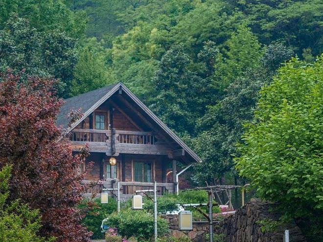 Yangxian tea culture ecological park