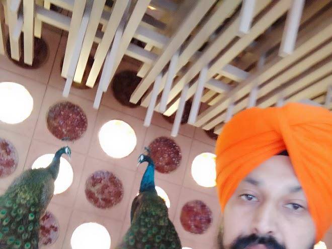Borman art garden hotel