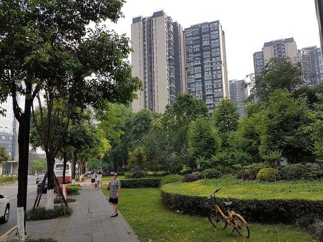 Chengdu safeier hotel