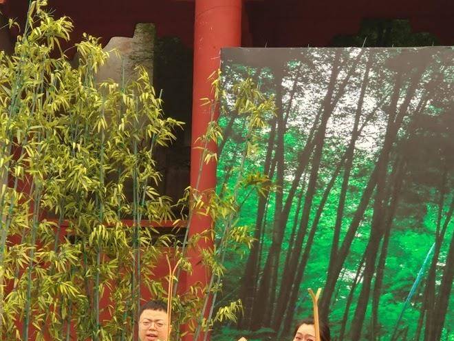 Chengbinlou hotel