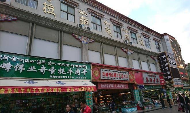Tashi choeta tibetan folk hotel