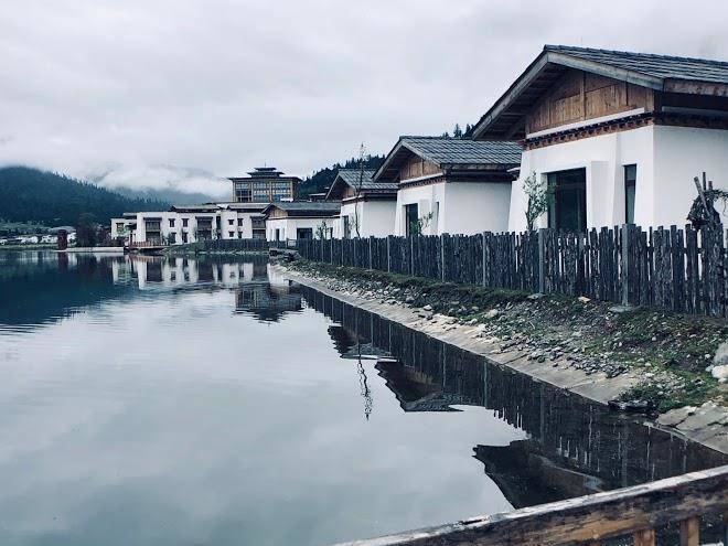 Artel poly linzhi