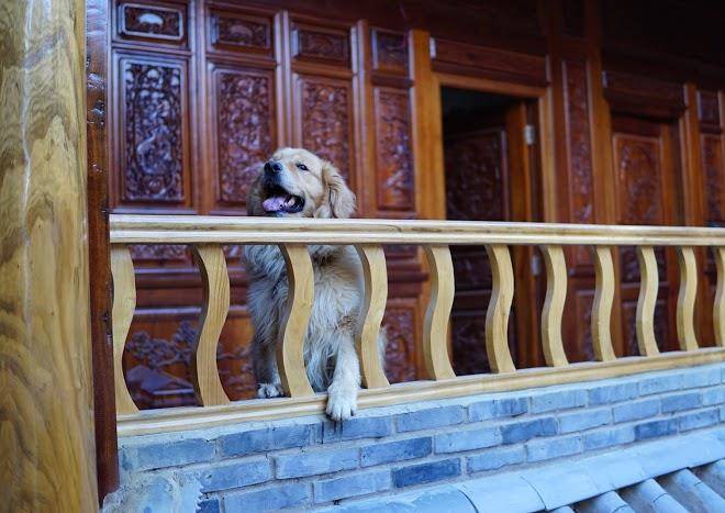 Butterfly Dream Boutique Inn Image