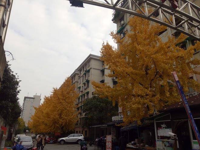 Vanwarm hotel hangzhou