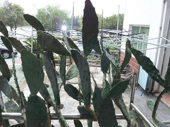 Huanhu Restaurant Image