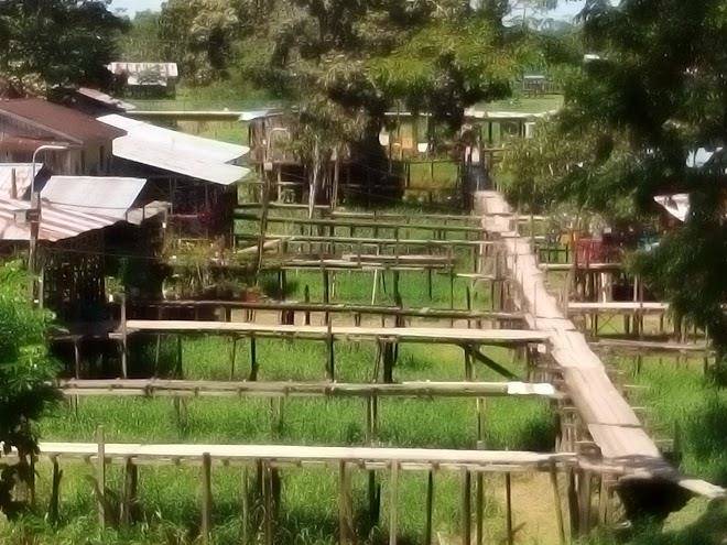 Hotel huito