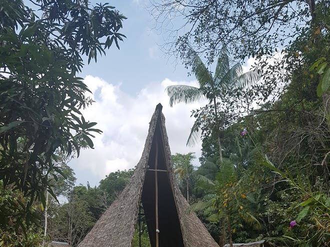 Reserva natural tanimboca