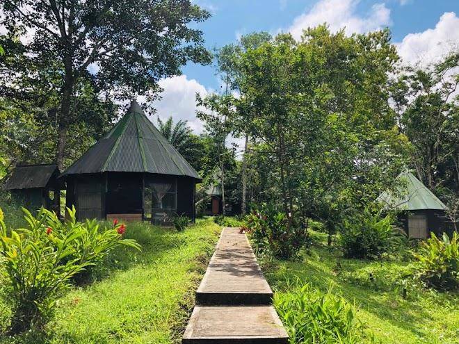 Eco hotel aldea amazonas