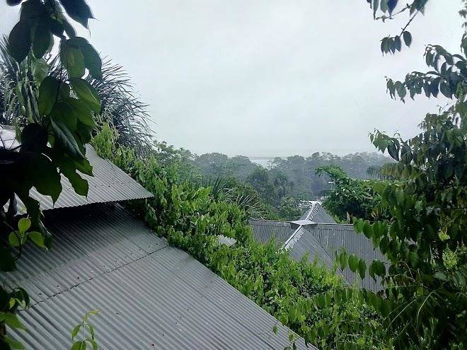 Paraiso ayahuasca