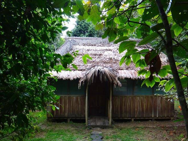 Yoi ecolodge