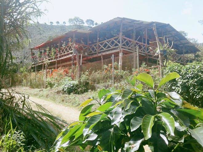 Alojamiento rural pajaros y flores