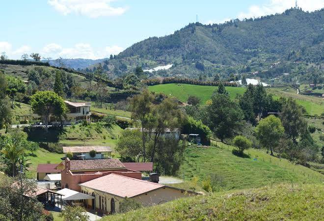 Finca alexandria