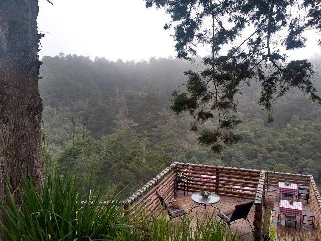 Hotel entrebosques de arvi