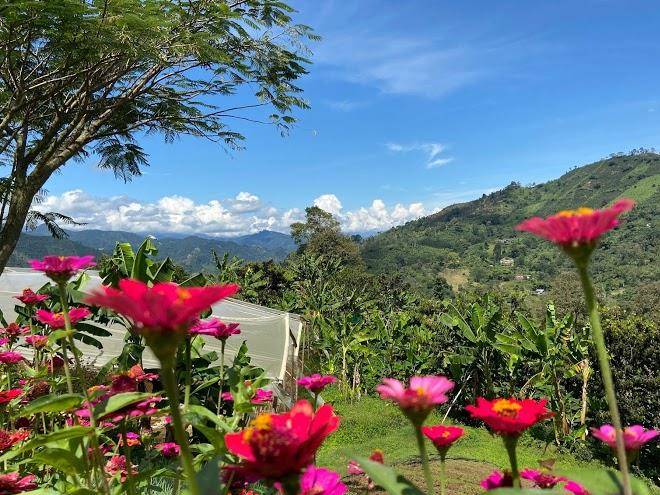 Cafe del jardin alojamiento rural