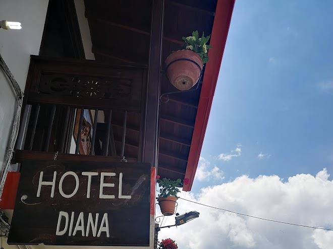 Hotel diana jardin
