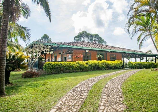 Finca panorama