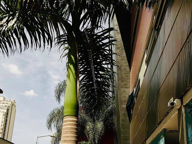 Ayenda 1246 3h hotel