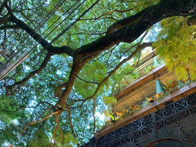 Celestino boutique hotel