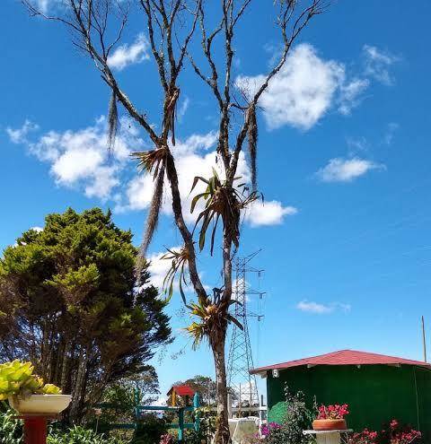 Hospedaje santaelena