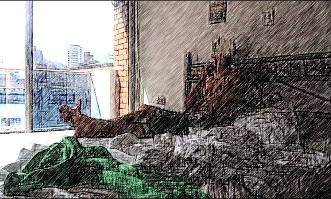Hotel lines