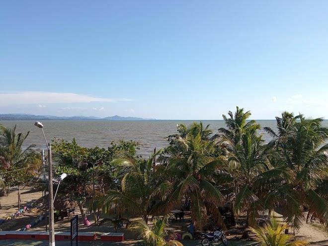 Colibri Del Mar Image