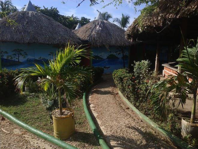 Punta palmeras