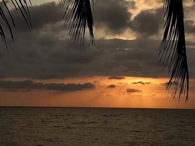 Punta pelicano