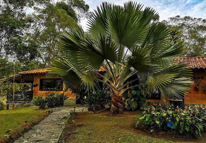 Aqua ecolodge