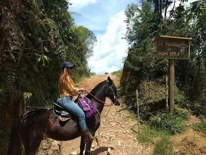 Finca el cabrero