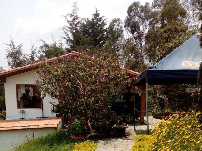 Finca azalea