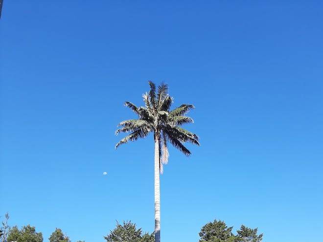 Finca Hotel Porton De Las Palmas Image