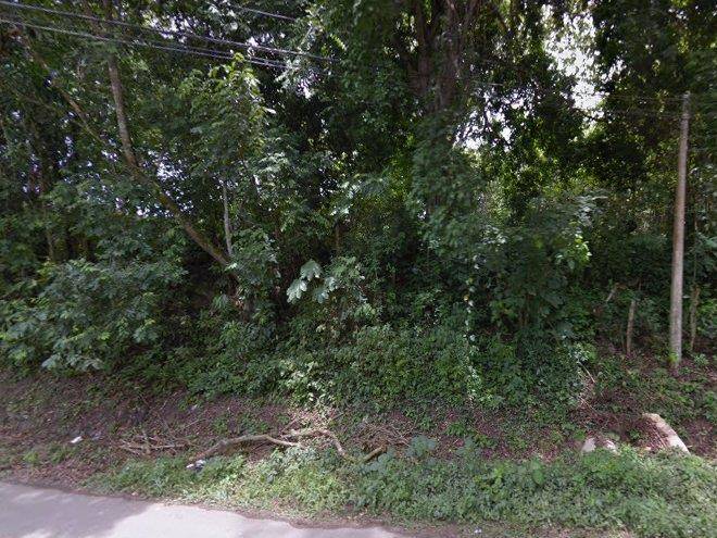 Centro Vacacional Panache Image