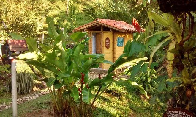 Estacion paraiso de dantas
