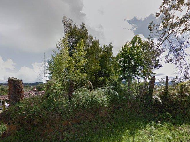 Florentinos