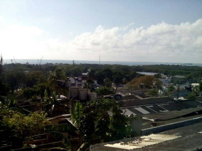 Bight view
