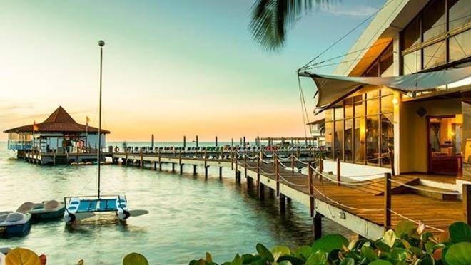 Decameron Aquarium Image