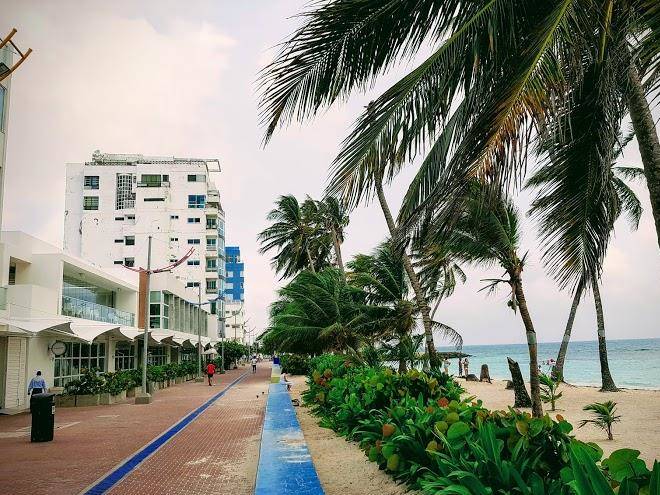 Hotel On Vacation Coral Flower Image