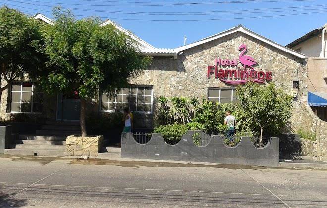 Hotel flamingos
