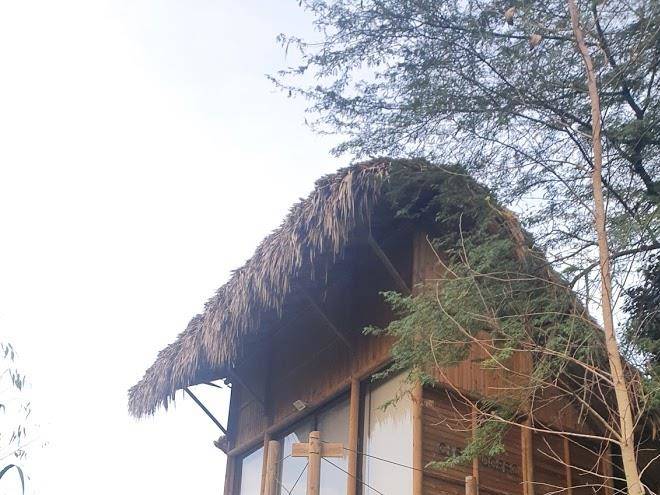 Ankua eco hotel usiacuri