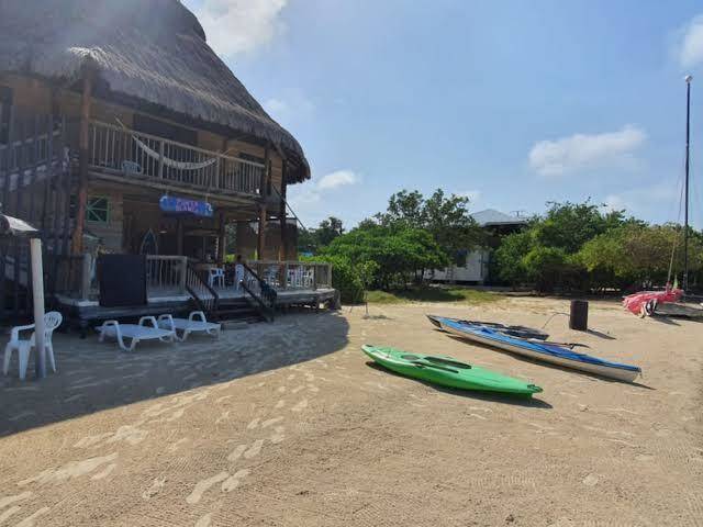Baru punta blanca