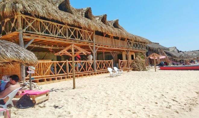El encanto de los corales