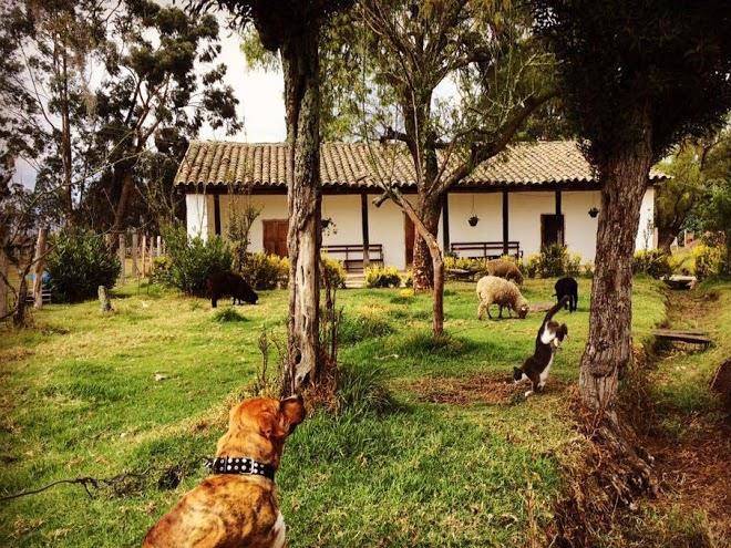 Posada turistica altamisal