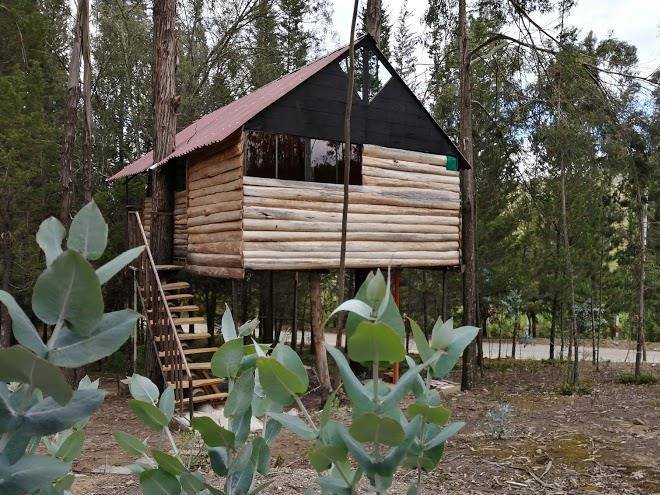 El bosque del molino